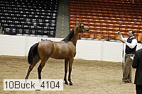 10buck_4104 proof