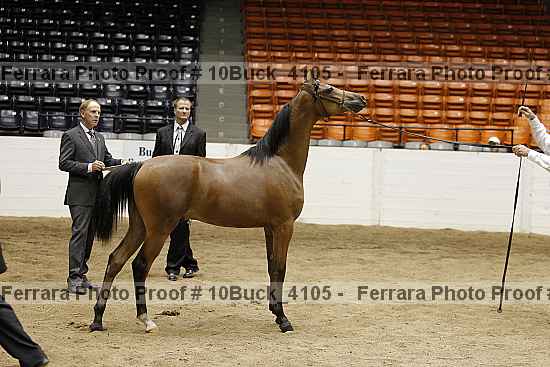 Proof 10buck_4105