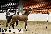 10buck_4105 proof
