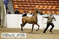 10buck_4106 proof