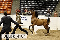 10buck_4107 proof