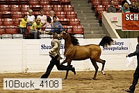 10buck_4108 proof