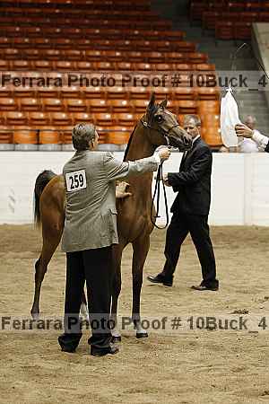 Proof 10buck_4109