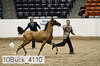 10buck_4110 proof