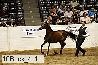 10buck_4111 proof