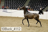 10buck_4112 proof