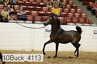 10buck_4113 proof