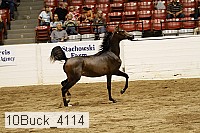 10buck_4114 proof