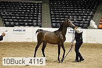10buck_4115 proof