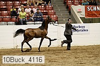 10buck_4116 proof