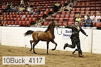 10buck_4117 proof