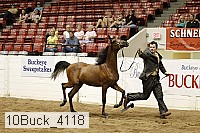 10buck_4118 proof