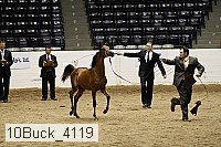 10buck_4119 proof
