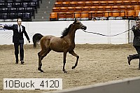 10buck_4120 proof