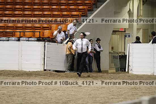 Proof 10buck_4121