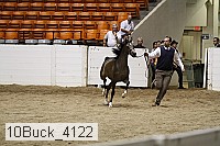 10buck_4122 proof