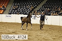 10buck_4124 proof