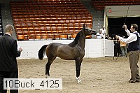 10buck_4125 proof