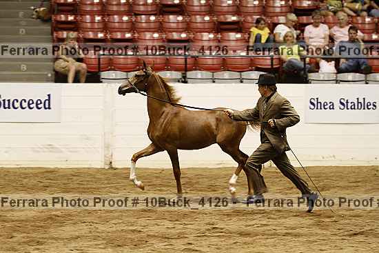 Proof 10buck_4126