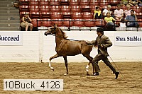 10buck_4126 proof