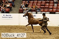10buck_4127 proof