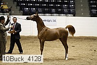 10buck_4128 proof