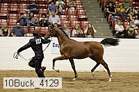 10buck_4129 proof