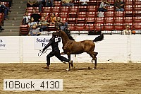 10buck_4130 proof