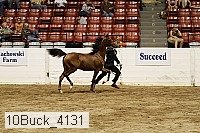 10buck_4131 proof