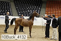 10buck_4132 proof