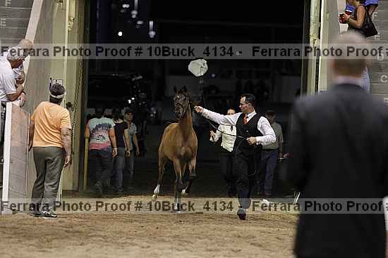 Proof 10buck_4134