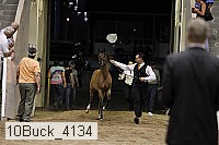 10buck_4134 proof