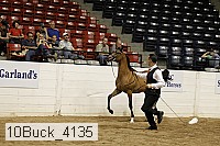 10buck_4135 proof