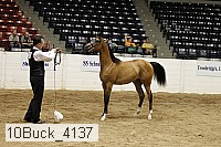 10buck_4137 proof