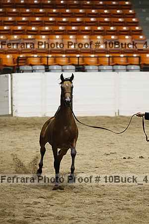 Proof 10buck_4140