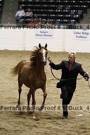Proof 10buck_4141