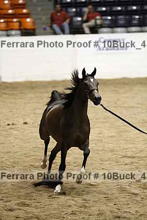 Proof 10buck_4143