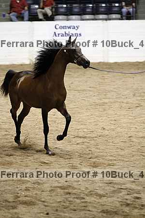 Proof 10buck_4144