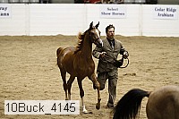 10buck_4145 proof