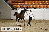 10buck_4146 proof