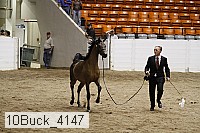 10buck_4147 proof