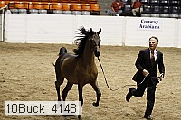 10buck_4148 proof