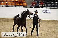 10buck_4149 proof