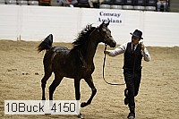 10buck_4150 proof