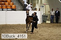 10buck_4151 proof