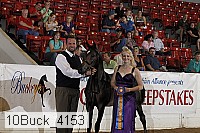 10buck_4153 proof