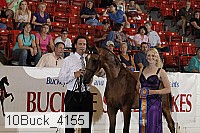 10buck_4155 proof