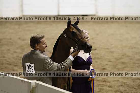 Proof 10buck_4159