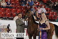 10buck_4161 proof