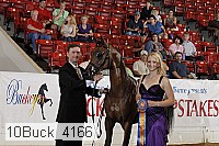 10buck_4166 proof
